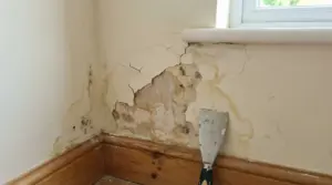 Muro interno danneggiato da umidità e muffa vicino a una finestra